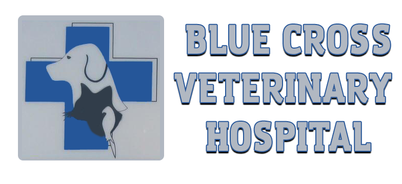 Blue Cross Veterinary Hospital