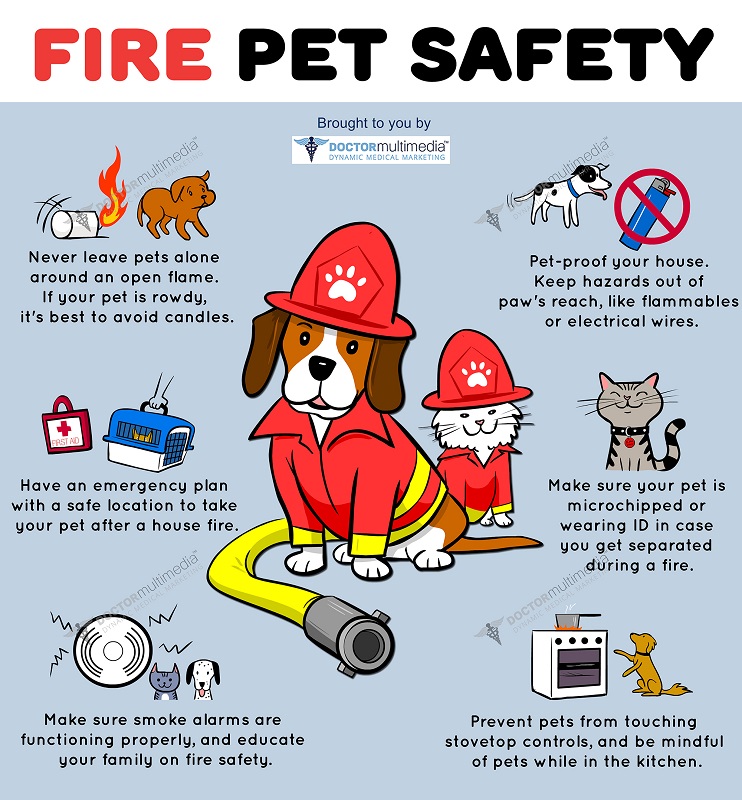 I. Introduction to Campfire Safety and Pet-Friendly Campfires