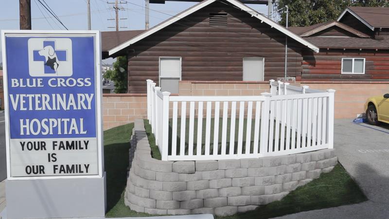 Virtual Tour Long Beach Vet Blue Cross Veterinary Hospital